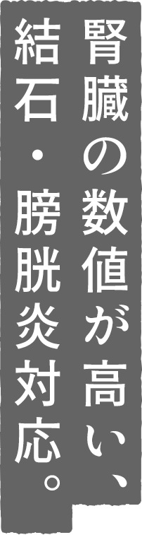 腎臓の数値が高い、結石・膀胱炎対応。