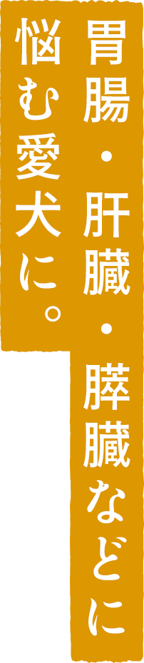 胃腸・肝臓・膵臓などに悩む愛犬に。